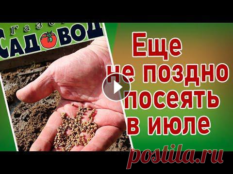 ЕЩЁ НЕ ПОЗДНО ПОСЕЯТЬ В ИЮЛЕ Что посеять в июле. Какие огородные культуры можно посеять в июле, если вы опоздали с посевами и при повторных посевах. Если видео Вам понравилось, не...