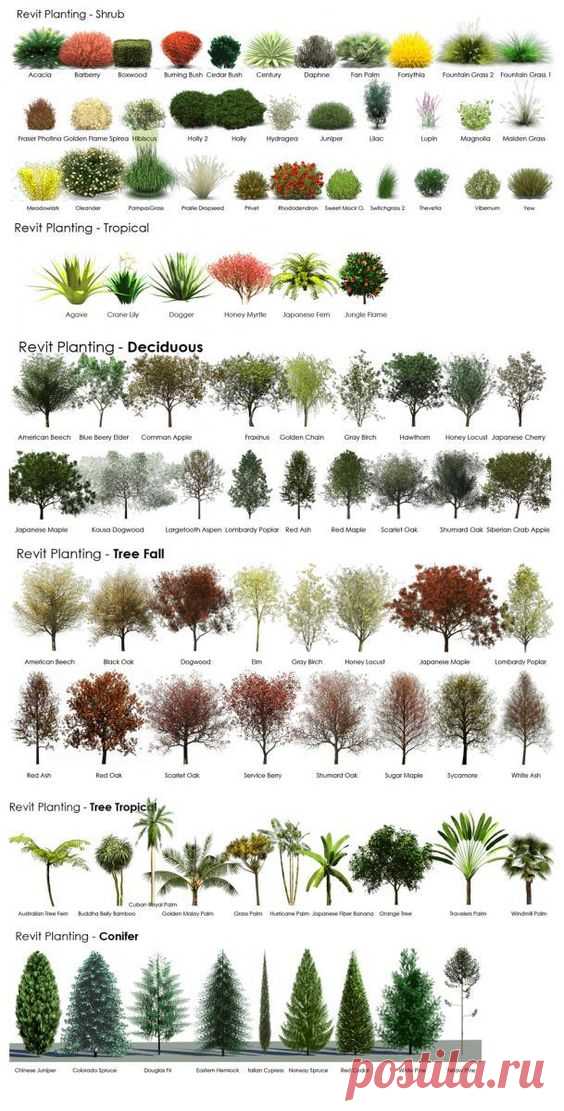 AMAZING RESOURCE ! In choosing plants for landscaping !  |  Pinterest • Всемирный каталог идей