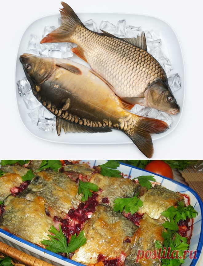 Запекаем рыбу в свекольном соку — Фактор Вкуса