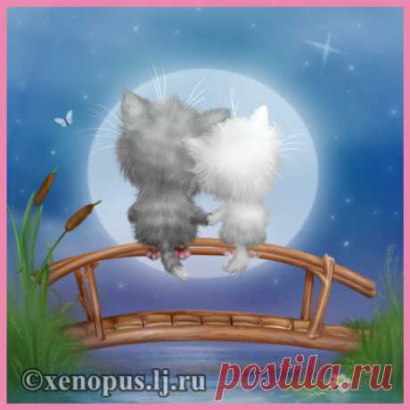 рисунки и картинки кошек и котят - Поиск в Google
