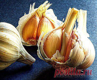 Осложнения гриппа и ОРВИ: как избежать » MEDIKFORUM.RU