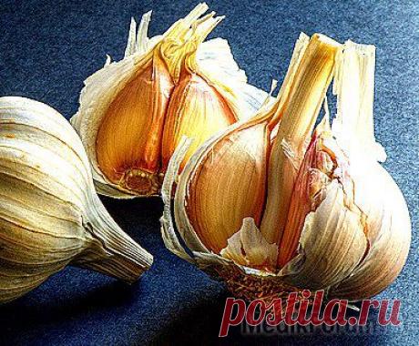 Осложнения гриппа и ОРВИ: как избежать » MEDIKFORUM.RU