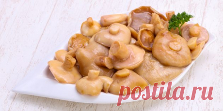3 рецепта вкусных маринованных маслят — Лайфхакер