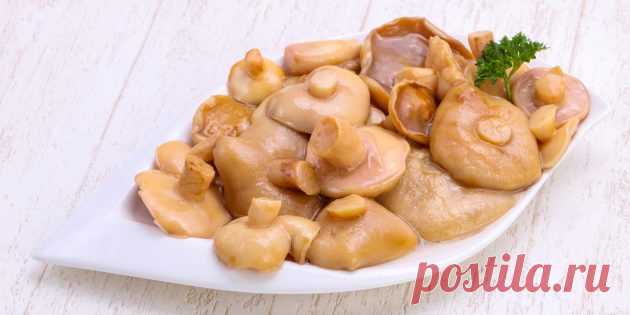 3 рецепта вкусных маринованных маслят — Лайфхакер