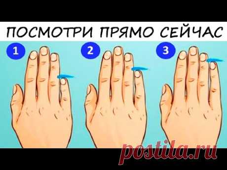 Мизинец связывает душу с космосом! Его длинна очень точно опишет ТВОЙ характер! Тест!