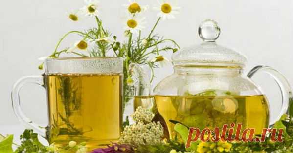 15 отличных способов очистить организм!!!