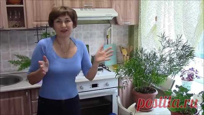 Мои цветы и супер подкормка для всех комнатных растений.