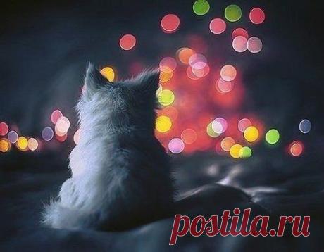 Одноклассники