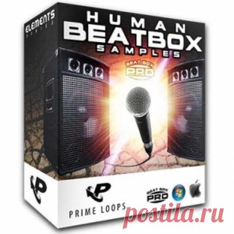 Prime Loops Human Beat Box WAV  | 118 MB

These jaw dropping beatbox samples are performed by Mowgli of the World Beatbox Convention, a professional beatboxer, sound engineer and DJ. Having signed alongside Rhazel, Killa Kella, Shlomo and many others with the worlds most famous human beatbox agency AllFromTheMouth, this truly is a rare chance to get hold of professional level elite material.