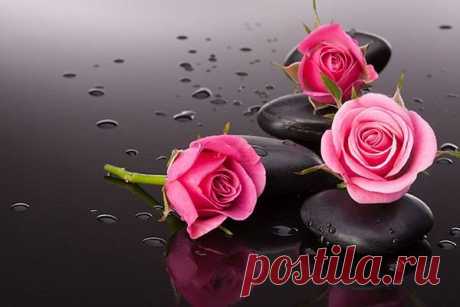 (5) Facebook