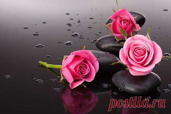 (5) Facebook