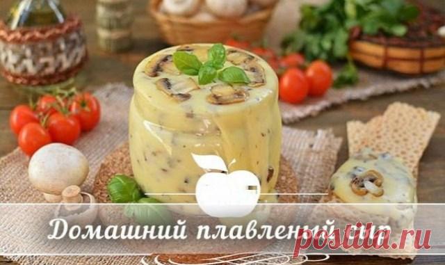Домашний плавленый сыр с шампиньонами – вкуснятина! — Копилочка полезных советов
