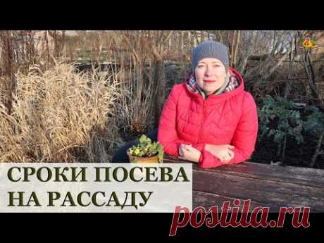 БЕСПЛАТНЫЙ ВЕБИНАР О СРОКАХ ПОСЕВА НА РАССАДУ!