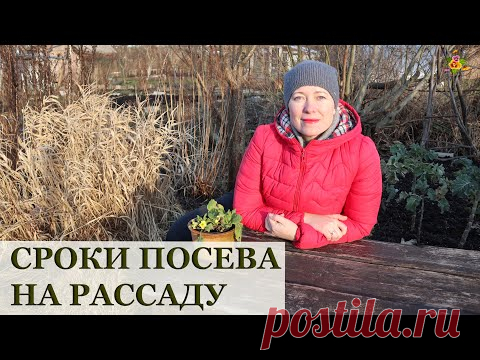 БЕСПЛАТНЫЙ ВЕБИНАР О СРОКАХ ПОСЕВА НА РАССАДУ!