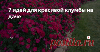 7 идей для красивой клумбы на даче С помощью красивой клумбы можно полностью преобразить свой дачный участок. Рассмотрим несколько идей по созданию красивой клумбы.
