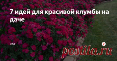 7 идей для красивой клумбы на даче С помощью красивой клумбы можно полностью преобразить свой дачный участок. Рассмотрим несколько идей по созданию красивой клумбы.
