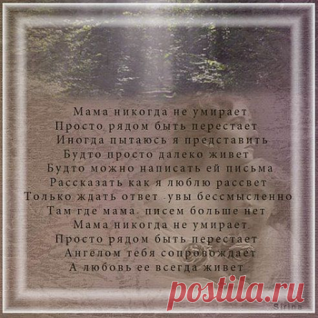 Одноклассники