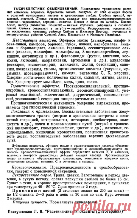 Тысячелистник обыкновенный