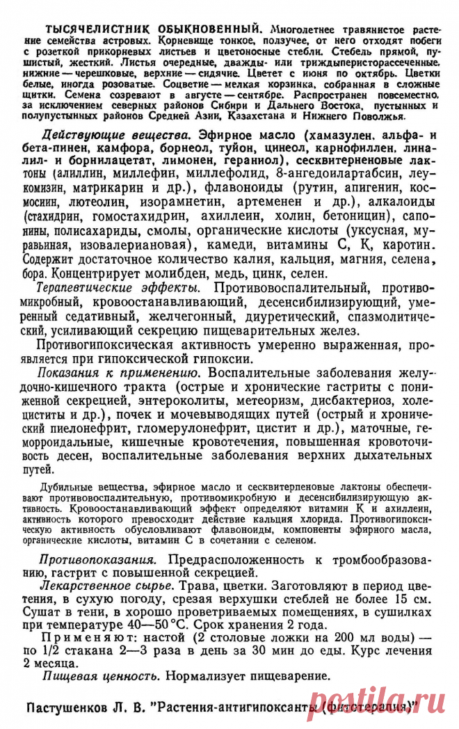 Тысячелистник обыкновенный