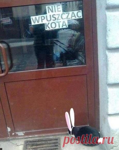 Мой Мир@Mail.Ru