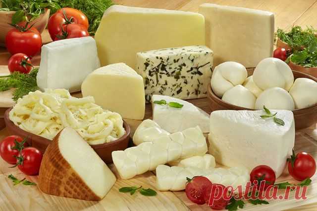 Какой сыр сделать дома. Советы от Дэвида Фишера