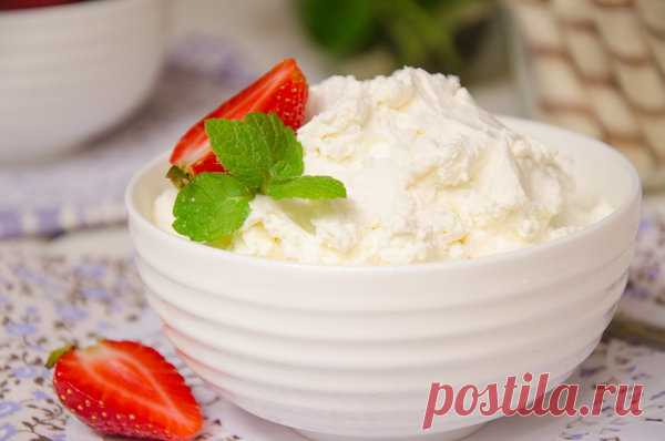 Готовим дорогущий сливочный сыр дома сами. Это очень просто! | Cook-s | Яндекс Дзен