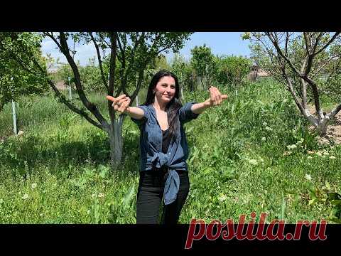 Пойдём за конским щавелем!Как собрать, сушить и использовать?!