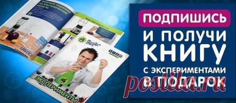 Научное Шоу сумасшедшего профессора Николя