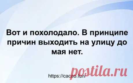 (30) Смешные жизненные истории, которые всем поднимут настроение - Сказка для двоих - 11 декабря - 43057846208 - Медиаплатформа МирТесен
