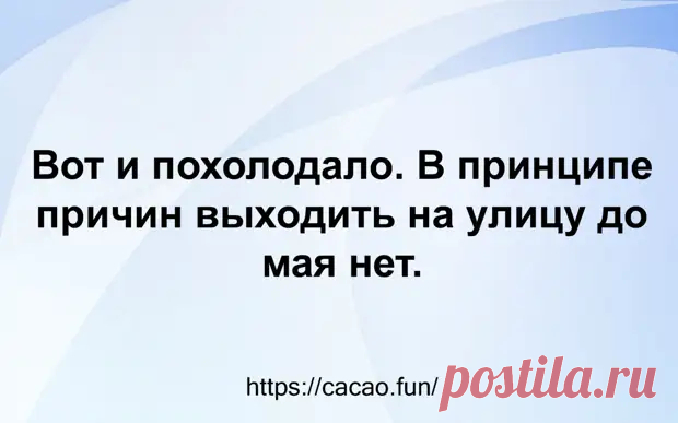 (30) Смешные жизненные истории, которые всем поднимут настроение - Сказка для двоих - 11 декабря - 43057846208 - Медиаплатформа МирТесен