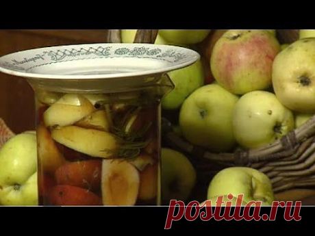 Доброе утро: Мочим и маринуем яблоки 08.11.13.