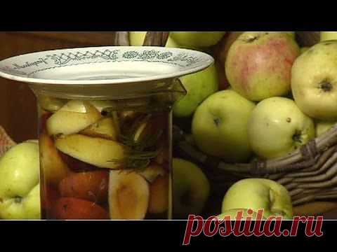 Доброе утро: Мочим и маринуем яблоки 08.11.13.