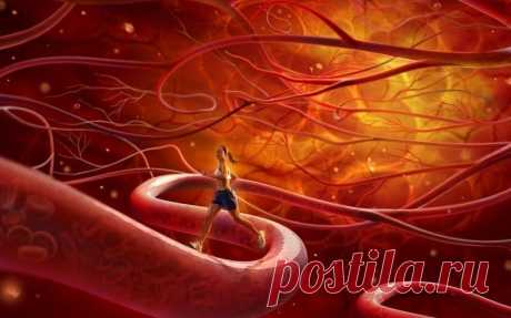 Улучшаем тонус сосудов