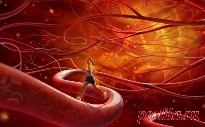 Улучшаем тонус сосудов