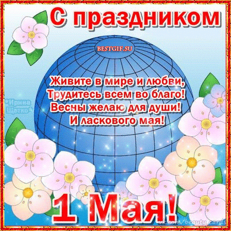 pic (520×520)