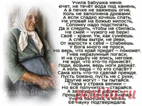 (56) Одноклассники