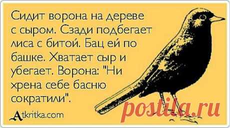 Позитив в картинках и не только
