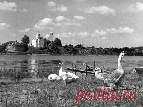 Старая Ладога 1960-х. Фотографии Марка Коляды