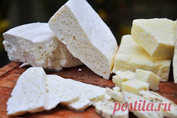 Сыр из козьего молока (брынза) - рецепт в домашних условиях