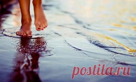 Не планируй неудачу. Красивое стихотворение!
Наш материальный мир очень тесно связан с духовным, в котором существуют свои законы. Наши мысли создают ту жизнь, в которой мы живем. И чем тяжелее мысли, тем сложнее судьба. Это красивое стихотворение покажет нам насколько важно уметь с легкостью относиться к многим ситуациям и всегда думать о хорошем. Не планируй неудачу — жизнь помчится кувырком! […]
Читай дальше на сайте. Жми подробнее ➡