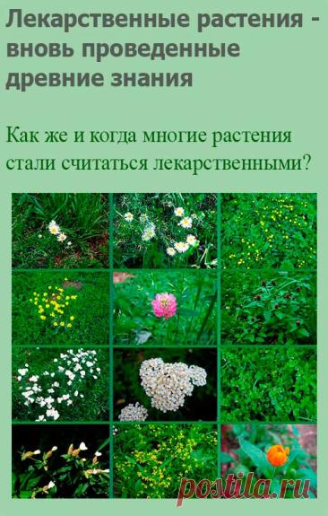 Лекарственные растения - вновь проведенные древние знания. У первобытных народов, а также у народов древних культур (Китай, Индия, Египет и др.) медицина служила для того, чтобы человека, выпавшего из природного порядка, вернуть в него снова. Космос - значит упорядоченный. Основой природной медицины является целостный взгляд на мир. Она должна лечить, то есть возвращать целостность.