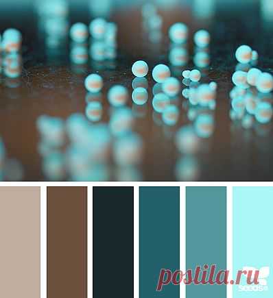 Design Seeds® | find your palette