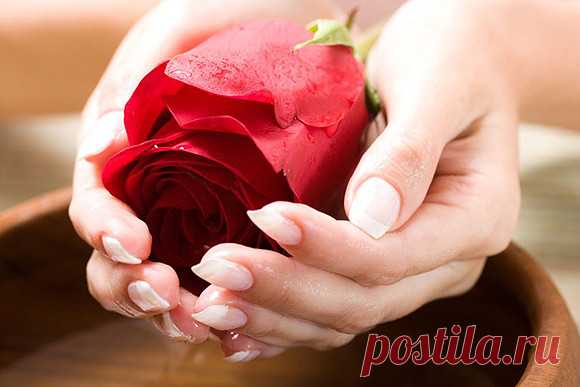 ТЕХНИКА «11 ДНЕЙ ЧУДЕС»
Работает эта техника уникальным образом. Особенно первые полгода происходит что-то волшебное. К вам будут приходить финансы, идеи, проекты и т.д.
Техника «11 дней чудес» передана группой архангела Михаила через Стива Ротера в 2004 году для того, что бы человечество поняло, что ангелы существуют. Что бы люди снова вспомнили, что они не одиноки в этом мире, что бы перестали переживать о завтрашнем дне, и испытывали меньше страха и трагедии. Что бы они...