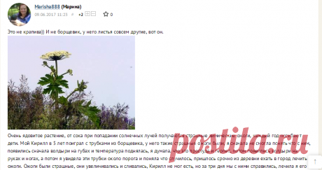 Удивительное рядом!