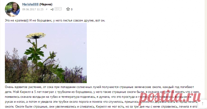Удивительное рядом!
