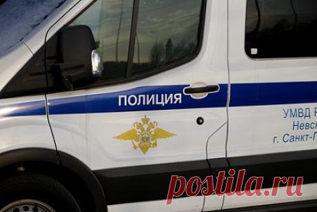 Женщина избила незрячую россиянку со словами «слепые должны сидеть дома». В Санкт-Петербурге женщина напала на незрячую директора центра по подготовке собак-поводырей. Потерпевшая пришла на остановку в Сосновке с 11-летним лабрадором и помощницей. Она случайно задела тактильной тростью девочку. Тогда ее мать разозлилась, стала оскорблять жертву, а затем ударила по голове телефоном.