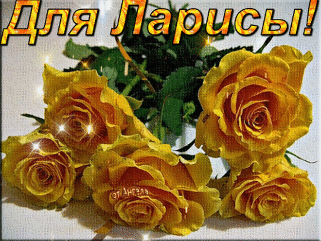 Bloggif : Изменение размера изображения