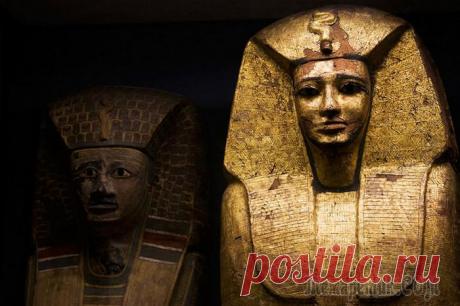 10 интригующих научных версий о том, как выглядели древние египтяне