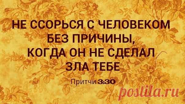 Новости