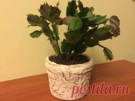 Цветочный горшок из &quot;ничего&quot;. (Flower pot with his own hands).